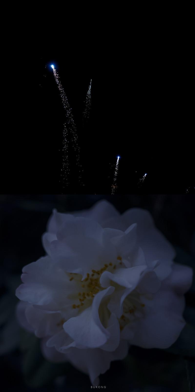 值得收藏的励志名言警句_励志句子