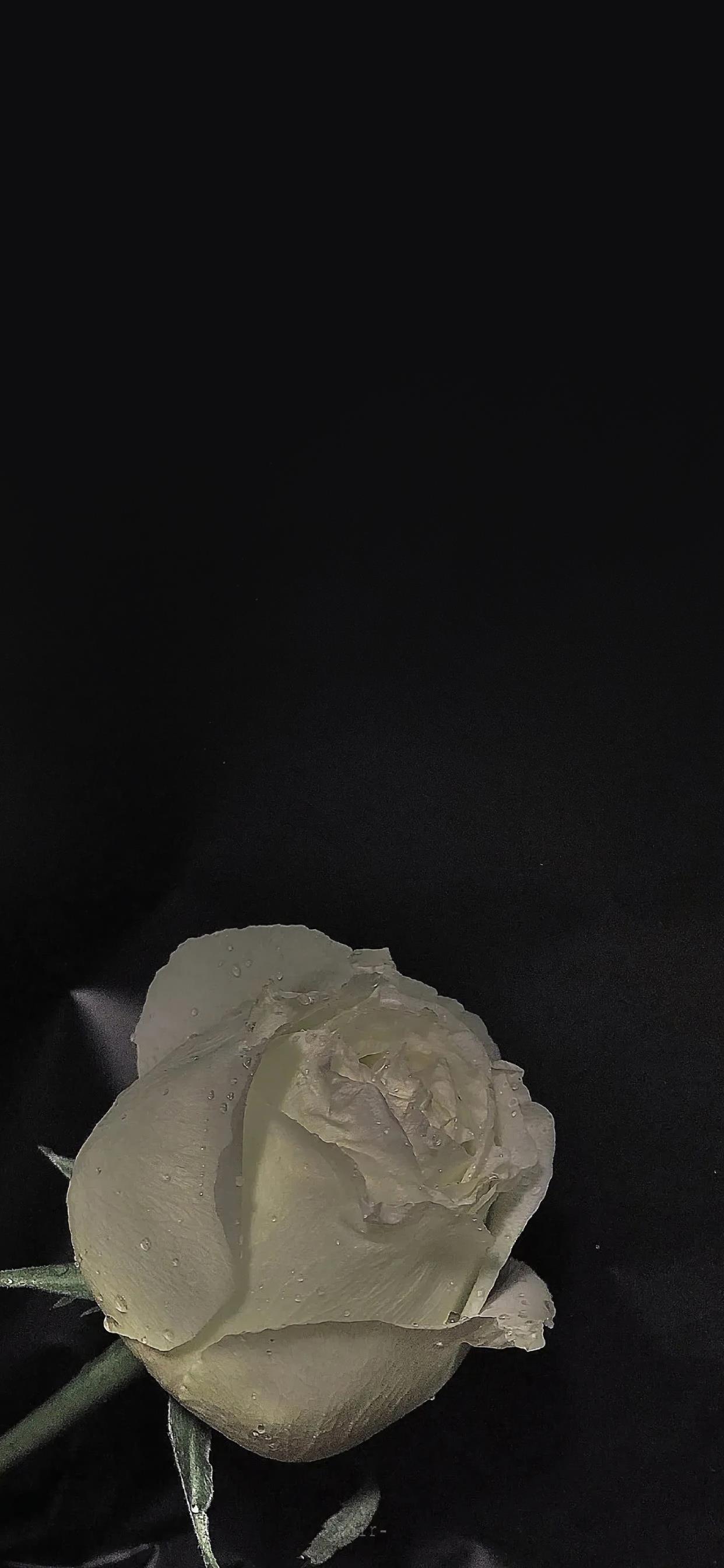 女儿，我想对你说