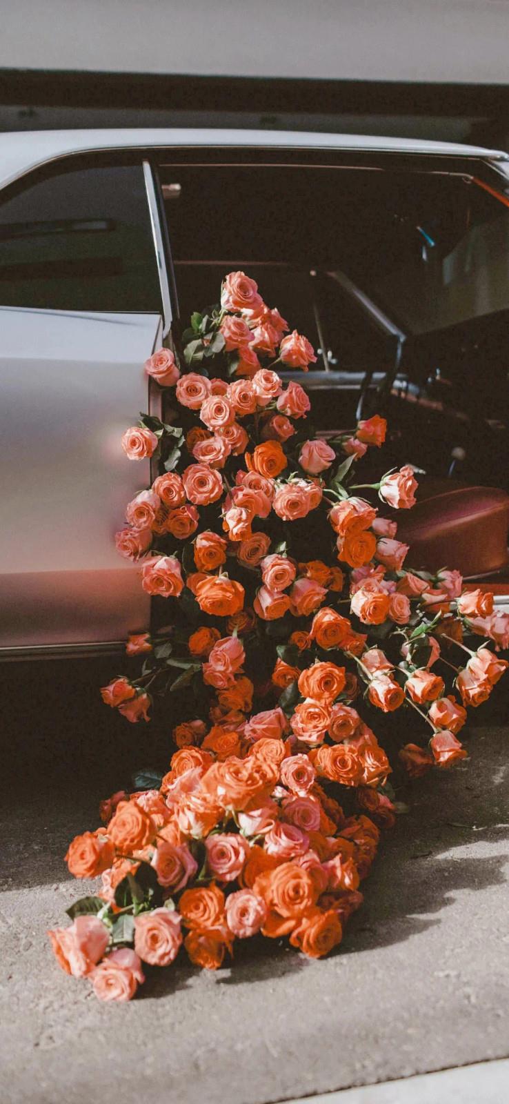 有生之年，感谢爸妈的人生