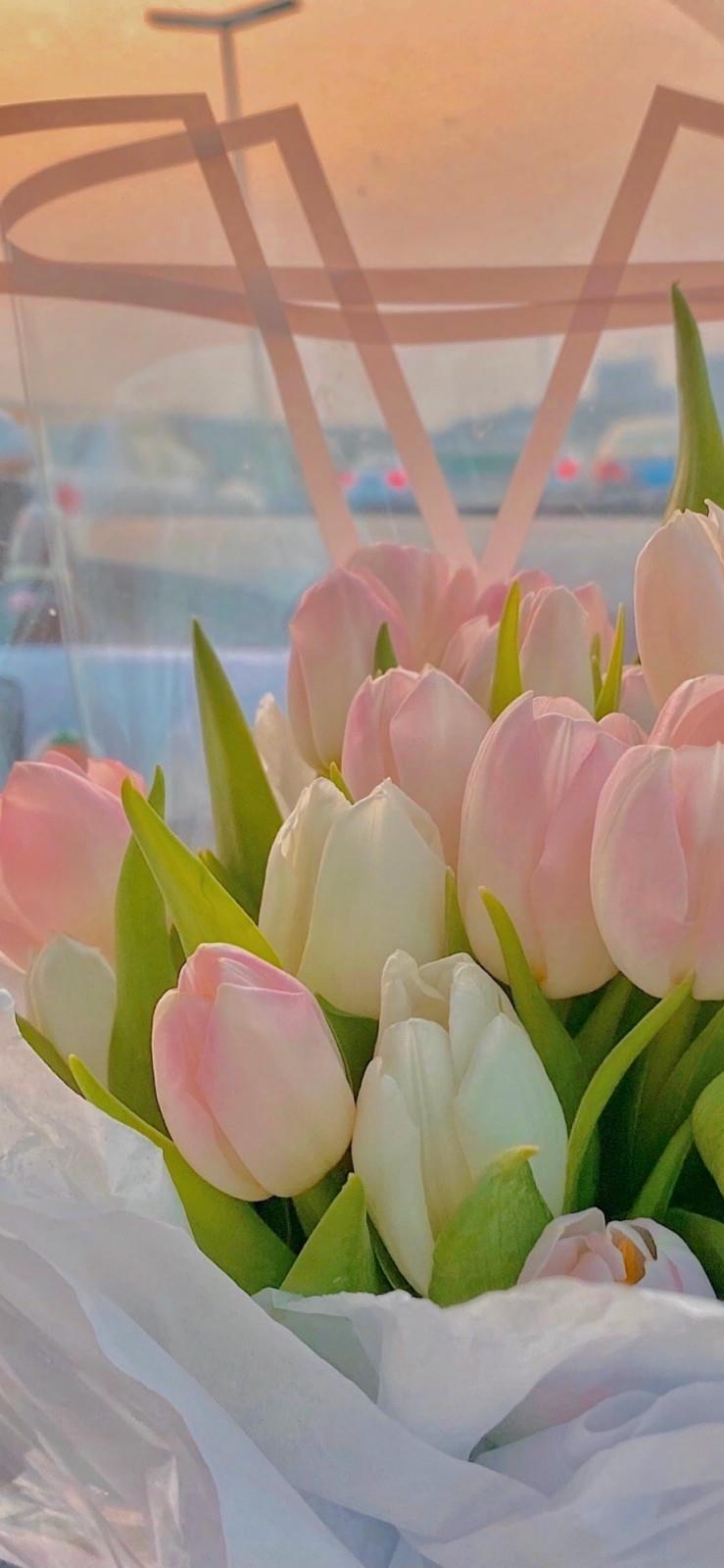 变态放荡女纯肉辣文 坐在公车最后一排被强