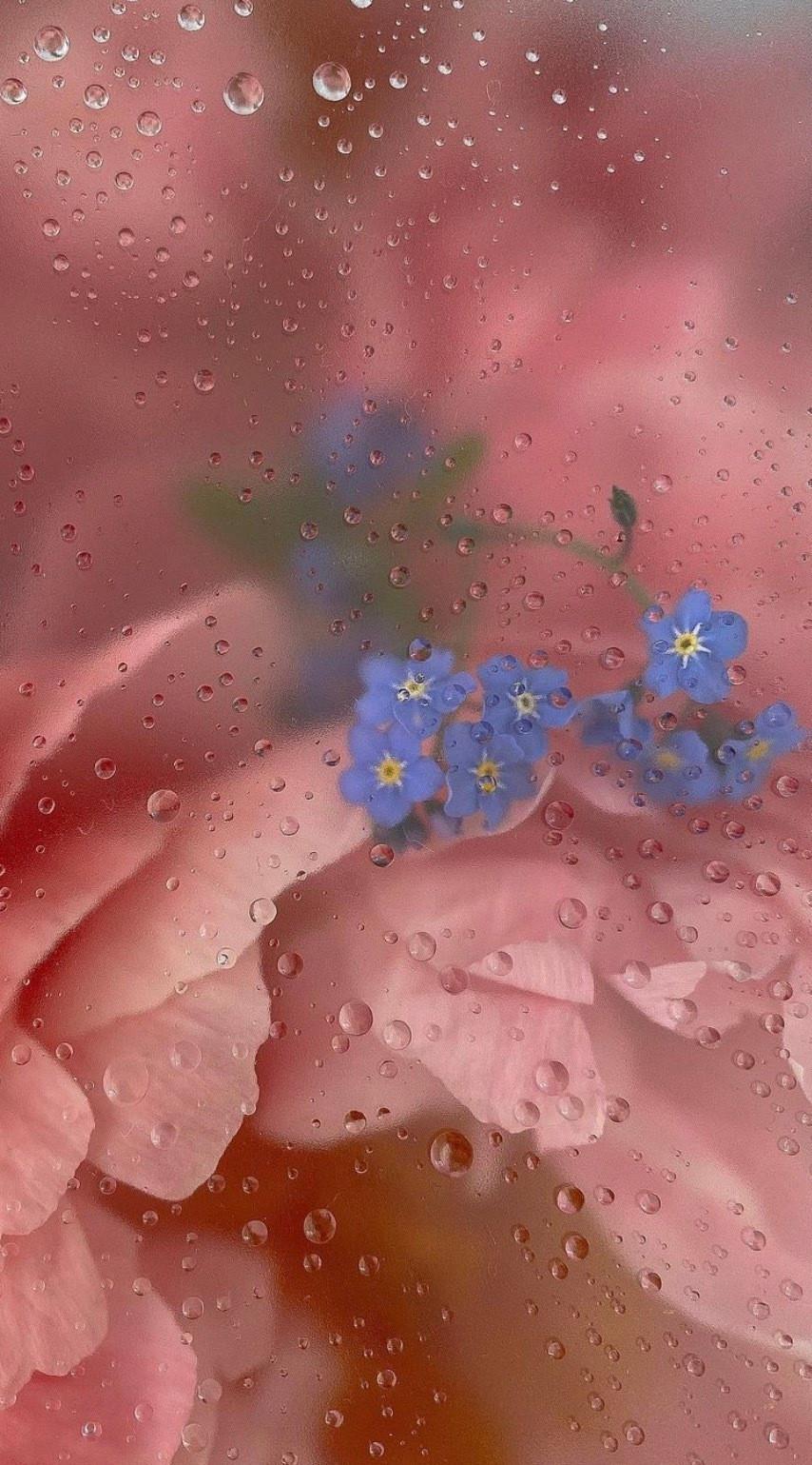 两个笑话故事乘公交车和吃面