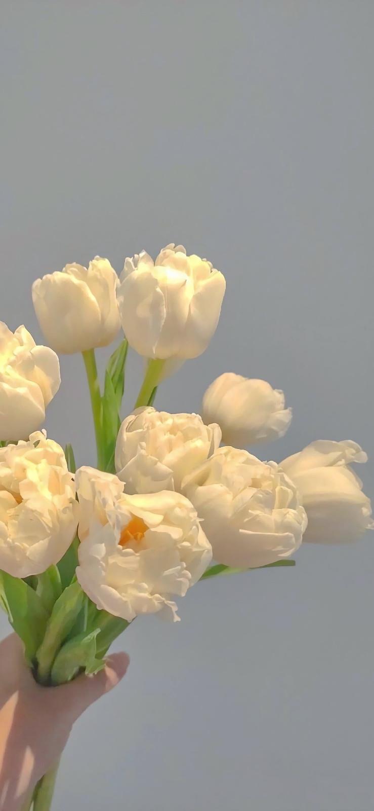 最简单的爱情故事