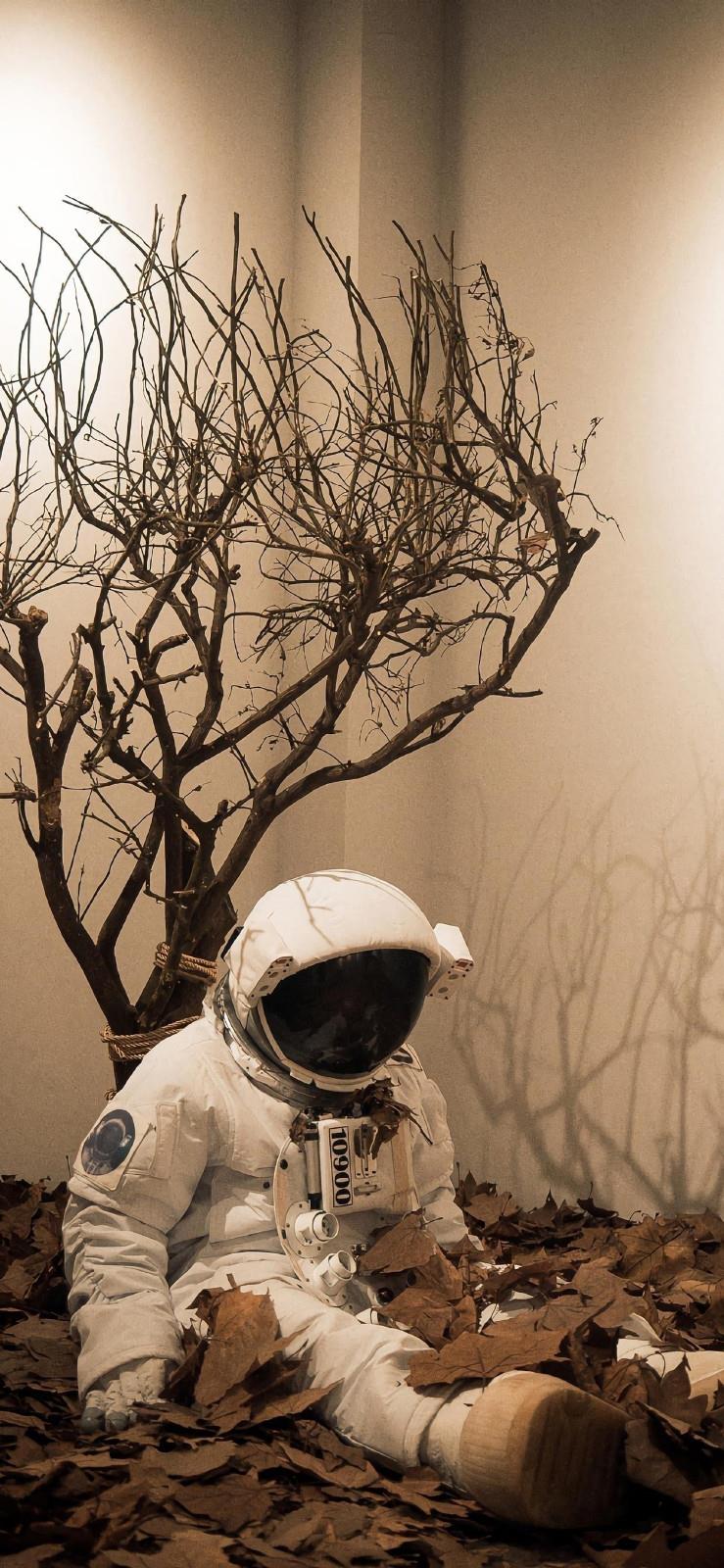 有一种心情叫酸楚