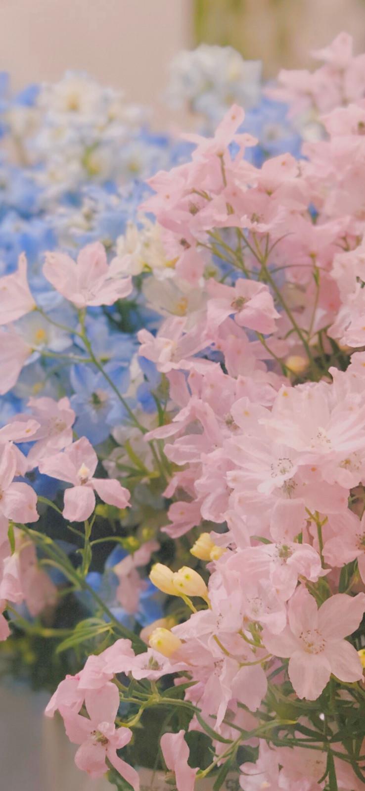 经典散文日记汇编十篇