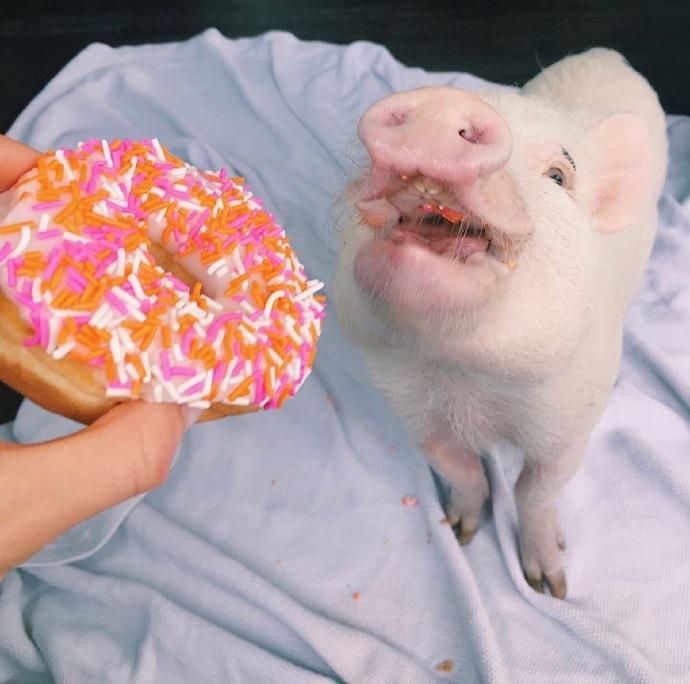 搞笑整蛊短信句子大全/搞笑一句话