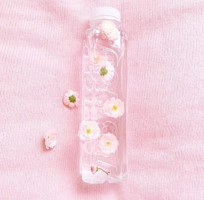 爱情的码头