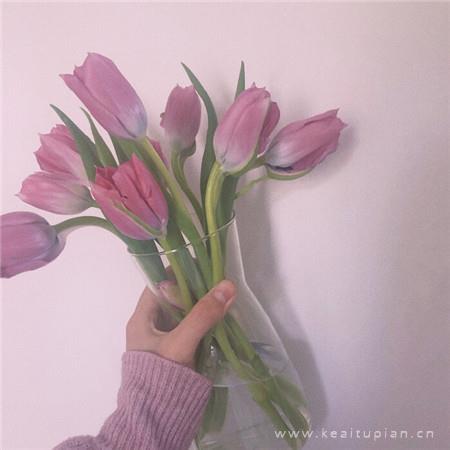 逝去的悲伤，不忘的爱情