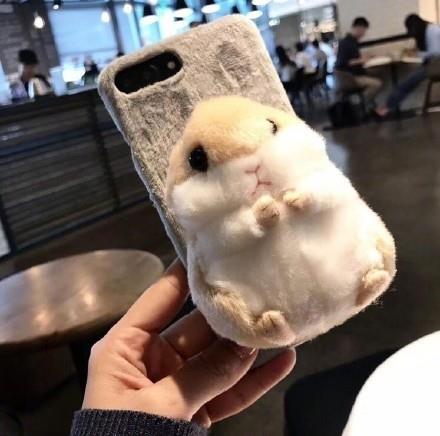 邂逅了爱情年轻时