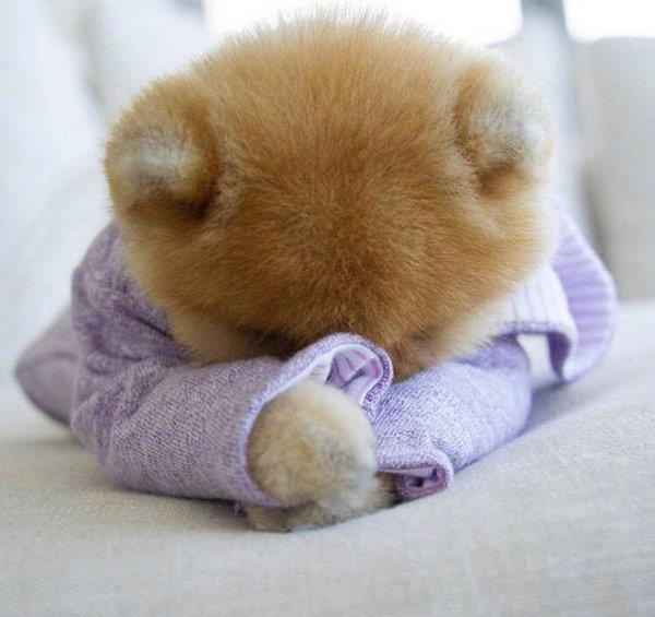 你一定要找一个愿意秀恩爱的人谈恋爱