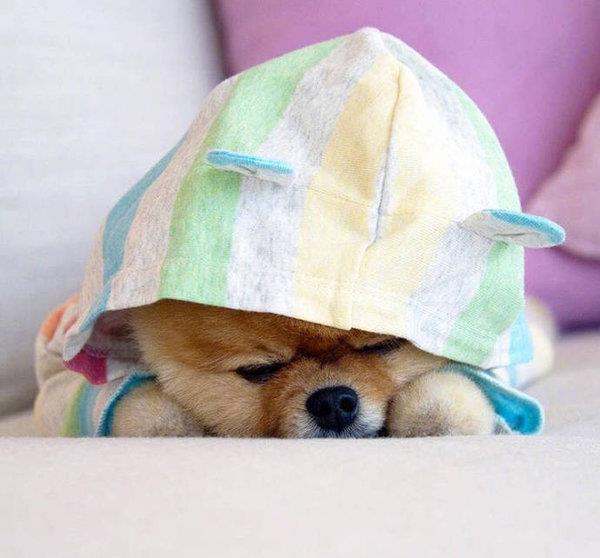 爱，终究只是回忆