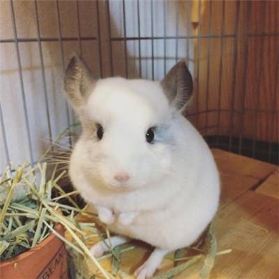 调侃恶搞的幽默句子大全/恶搞语录