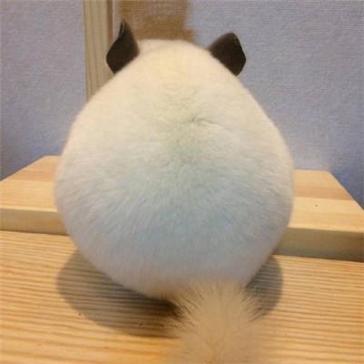 [美]卡尔·齐默【演化的故事：40亿年生命之旅】- 进化论,生物,进