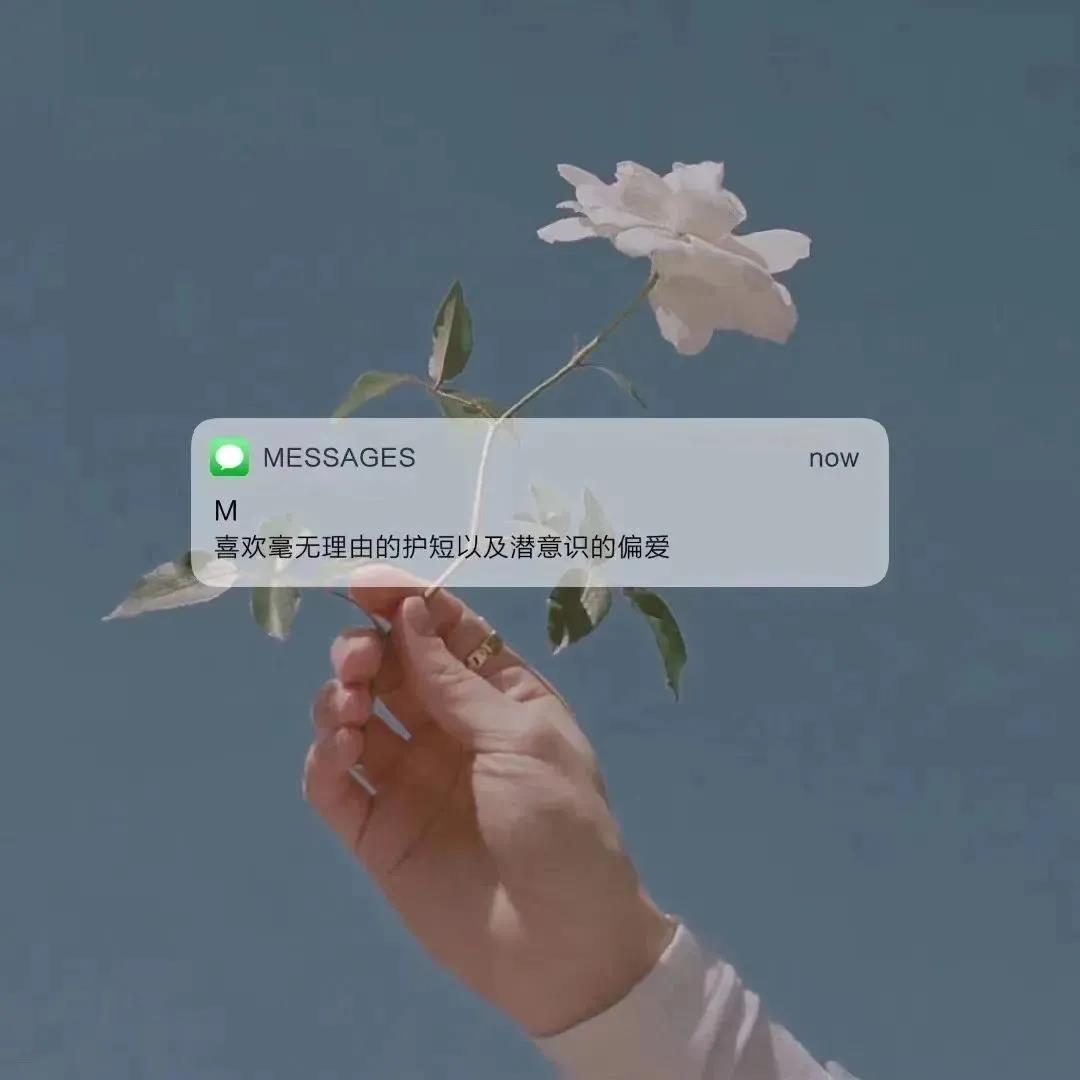 少司命《宿命》