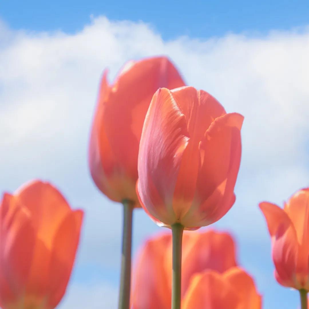 那些我们一起走过的地方