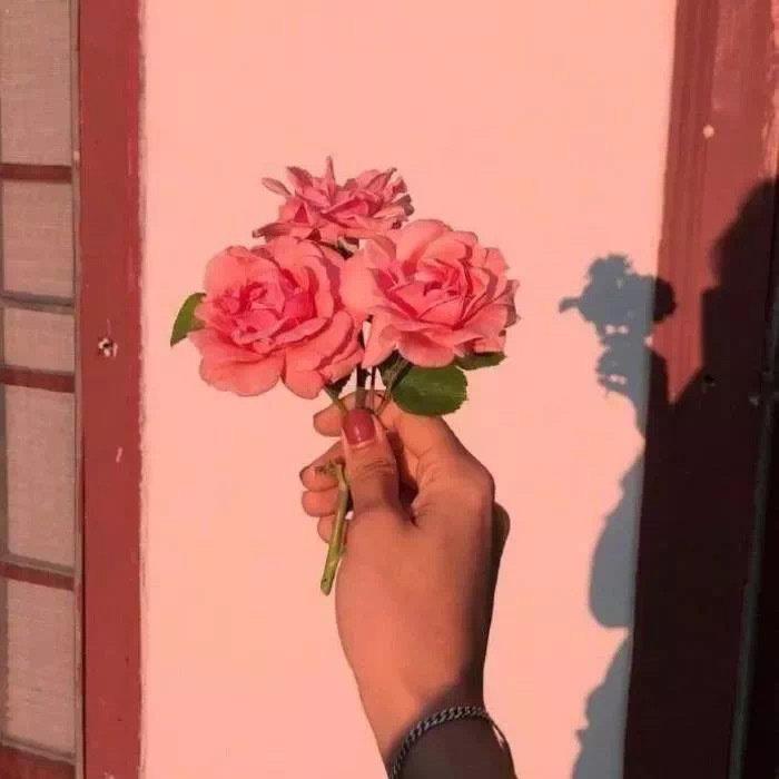 鲁迅美文摘抄600字