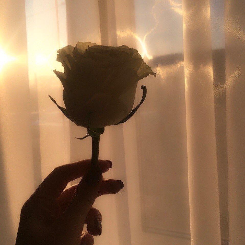 妈妈，快来救救我