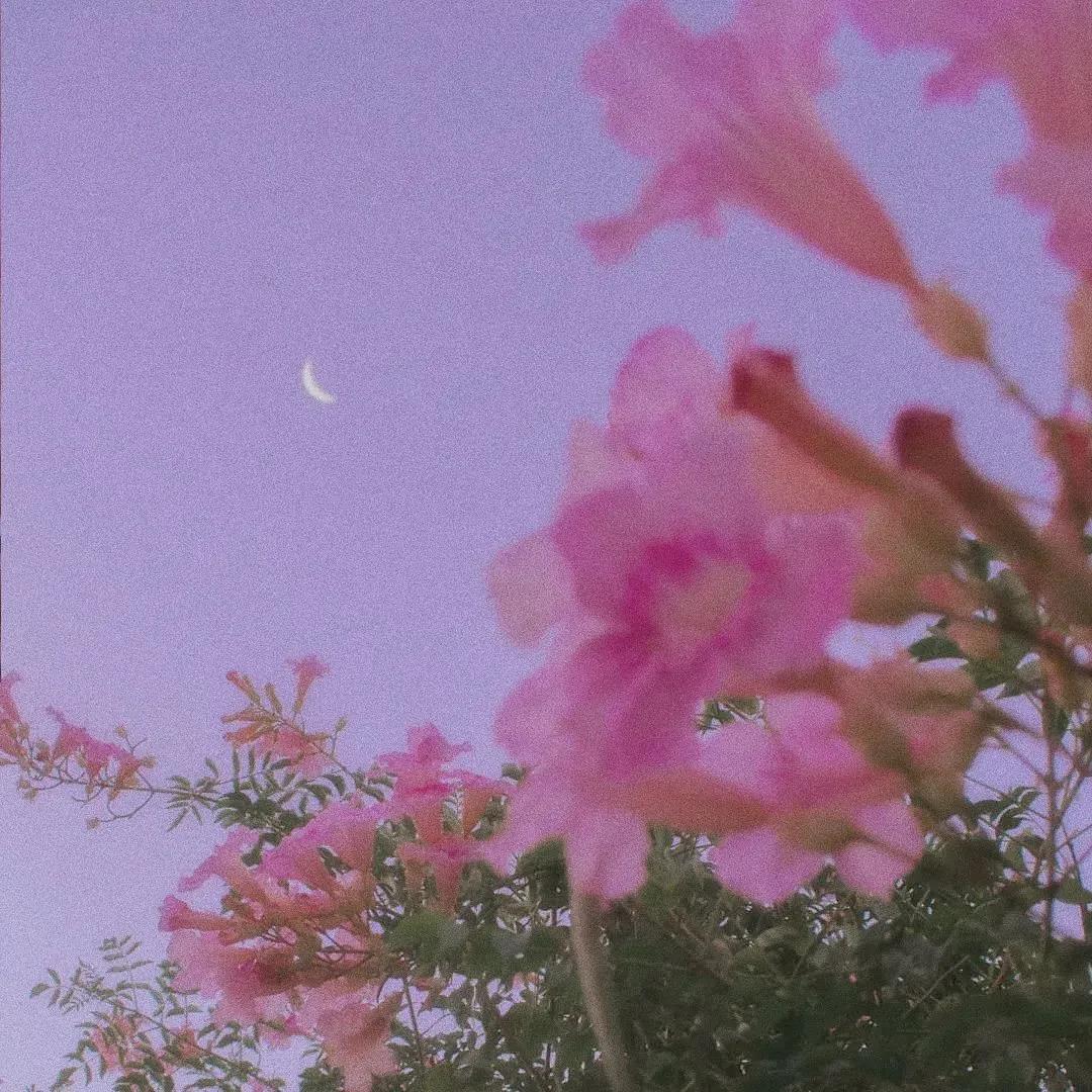 立即让自己变优秀的128种方法