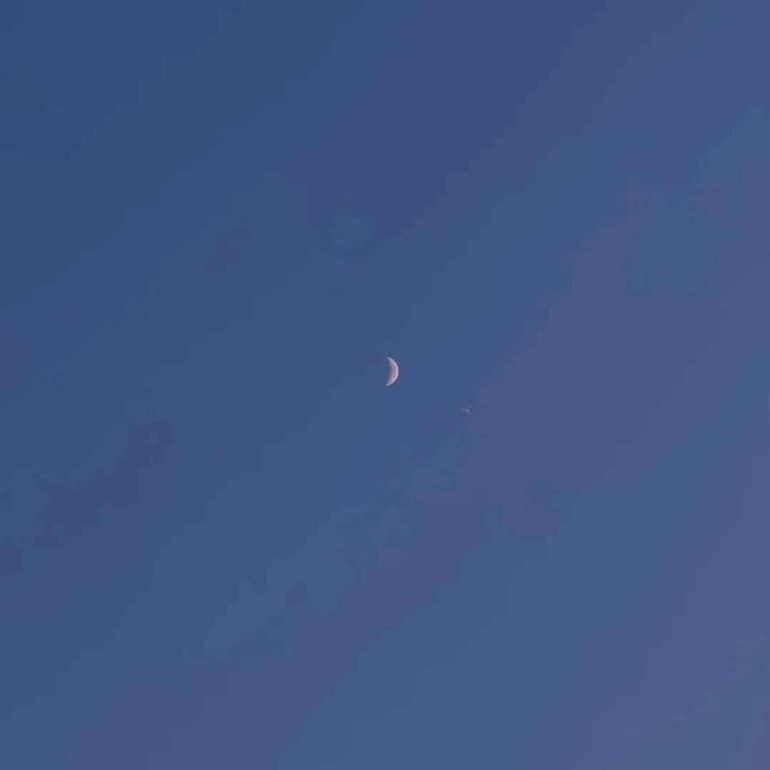 夺爱行动