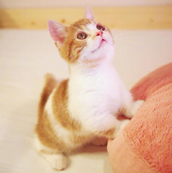 你不能没有激情与勇气