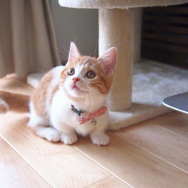 且敬往事一杯酒