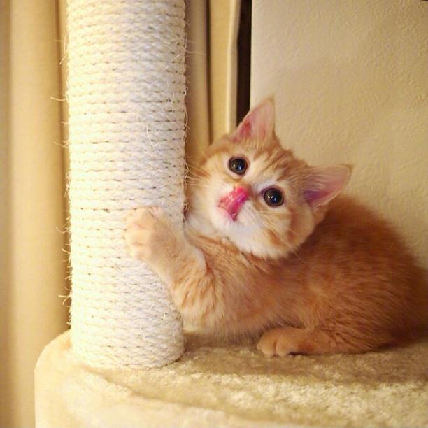 见你一面也好.还我牵挂