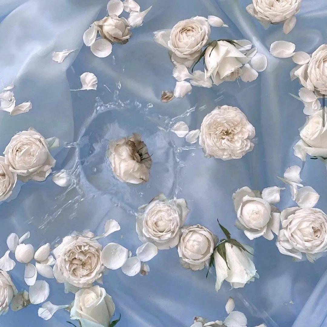 好茶也要“泡一泡”