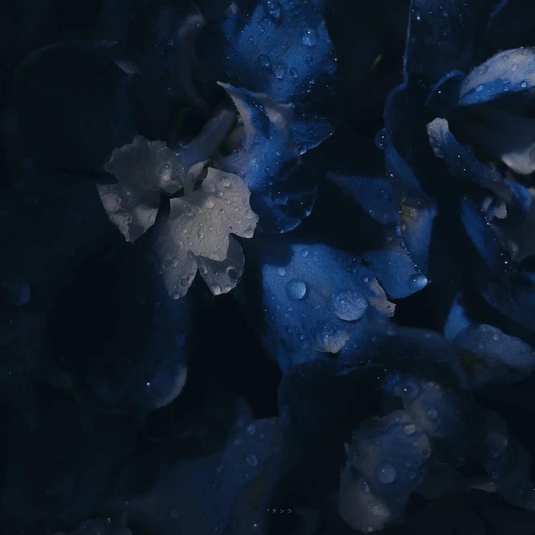 早春踏青