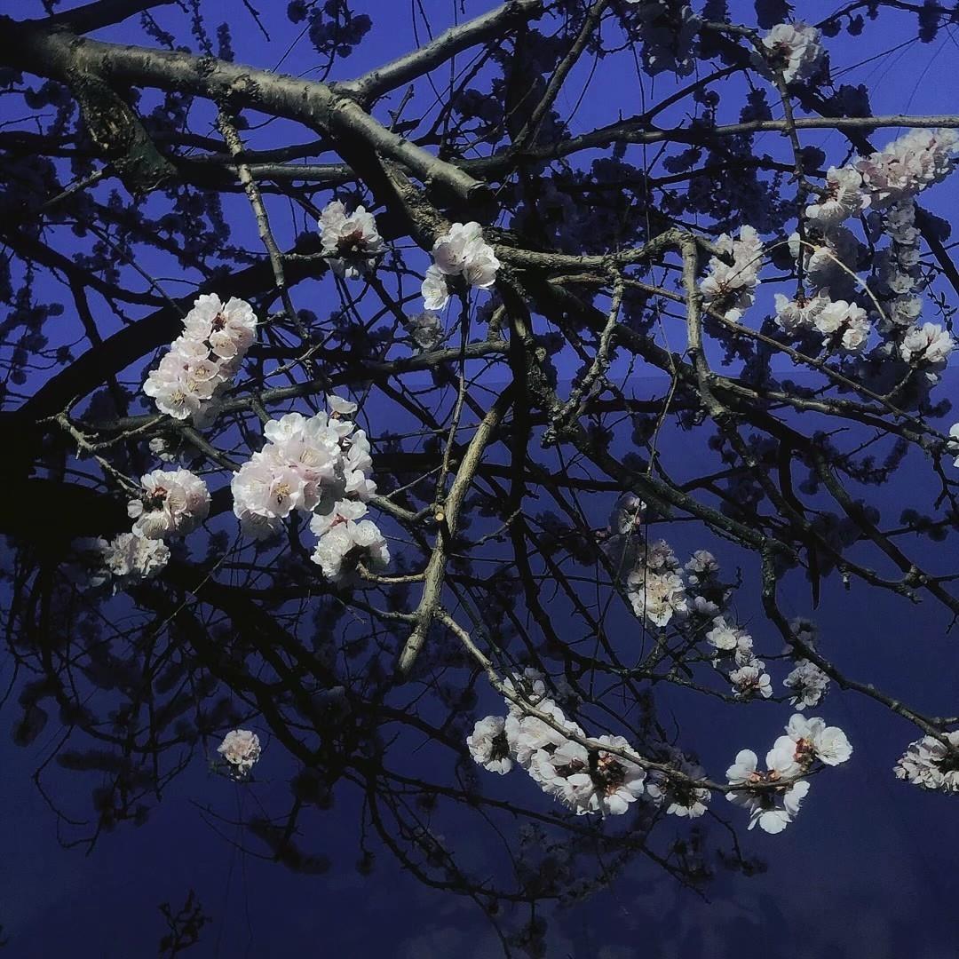 川行散记之一空中云海散文欣赏