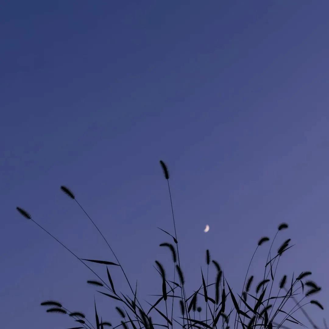 最疼的疼是原谅,最浓的黑是绝望。