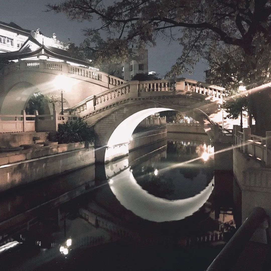 风流总裁酿苦果