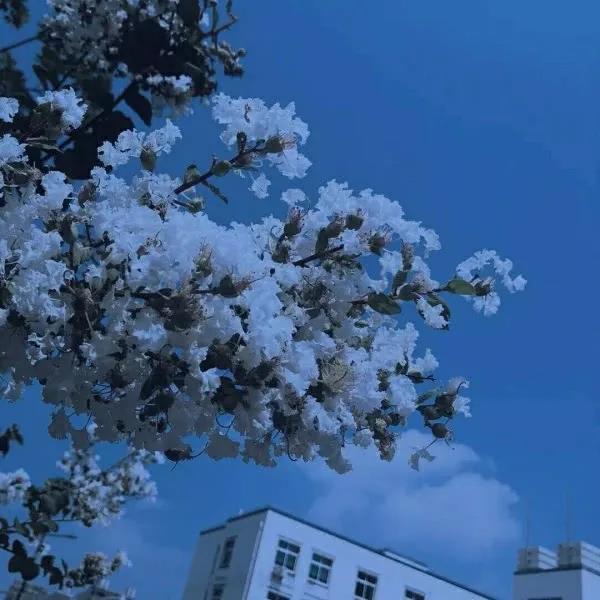 温暖唯美治愈系心情句子，温暖句子