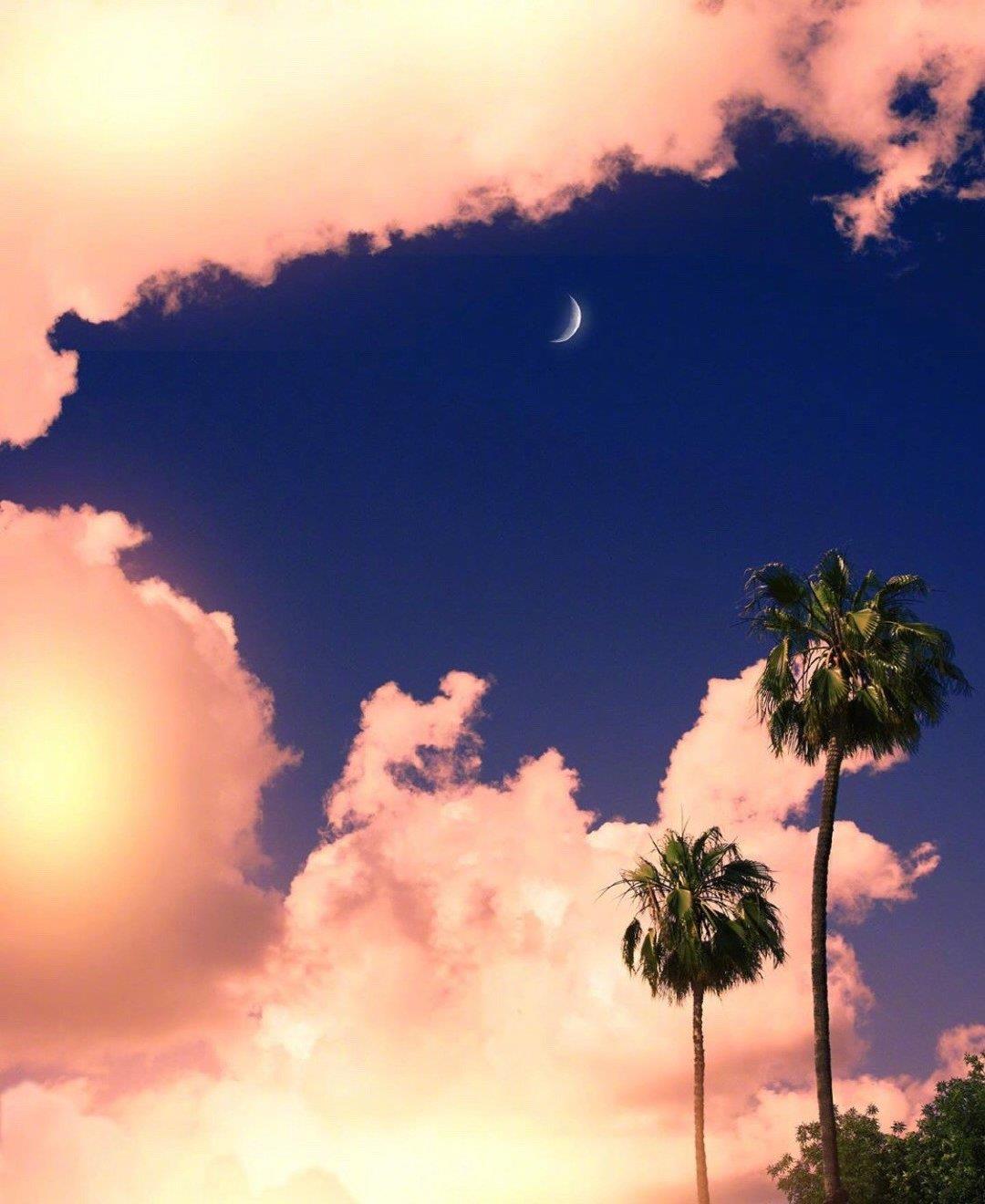 唯美古风句子_经典语录 唯美短句