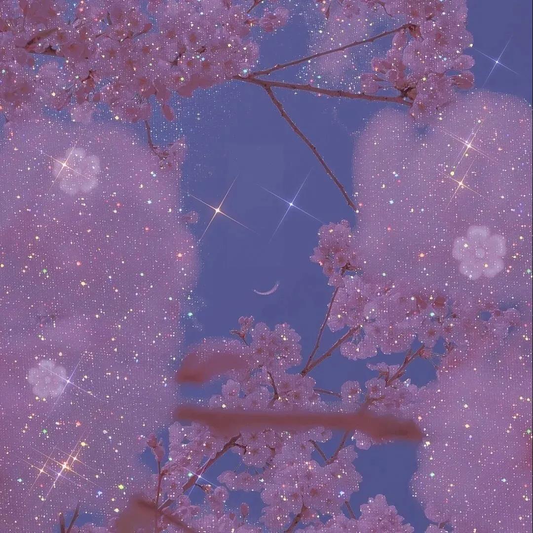 陌小莫，谁带你去流浪