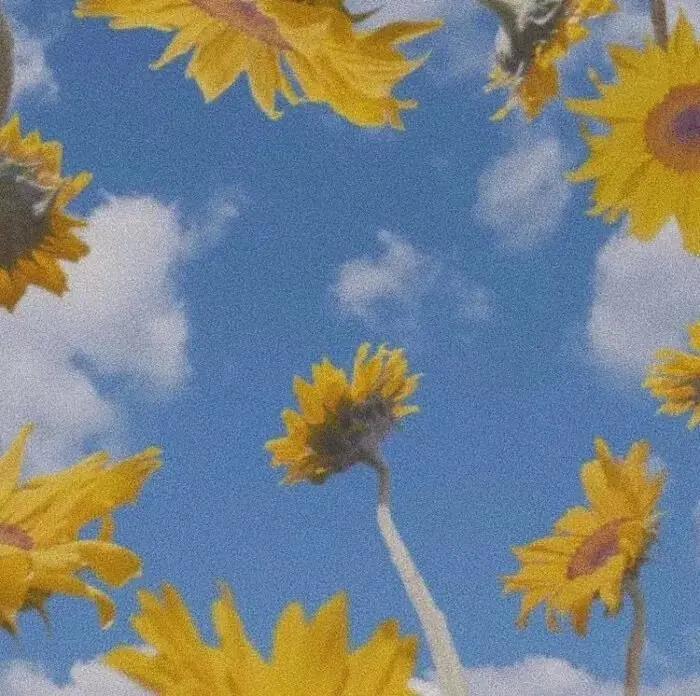 淘宝小二的爱情搭档