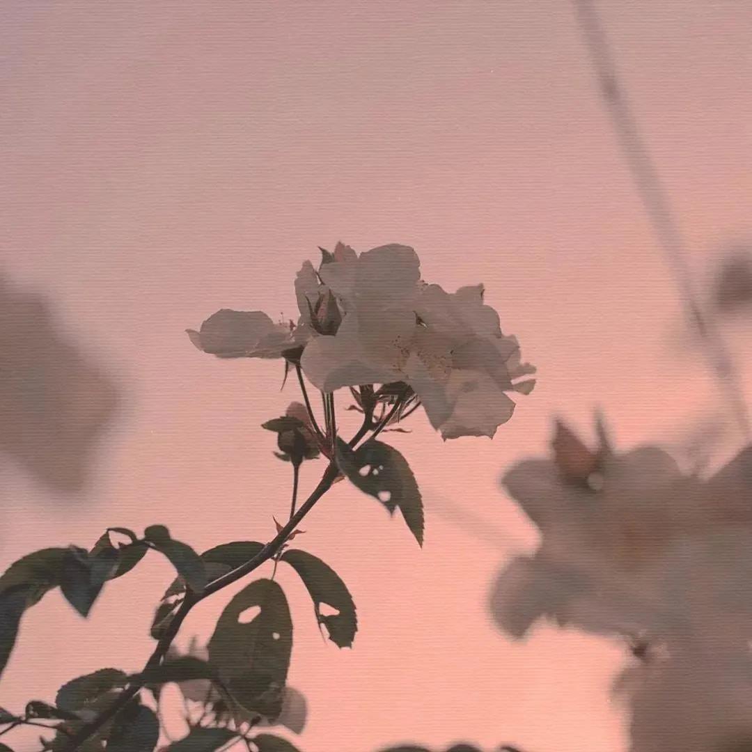 郭凡生的经典创业语录