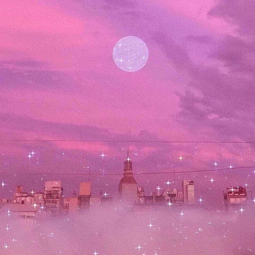 爱情的水仙花