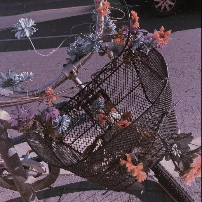 腊八节的美文摘抄