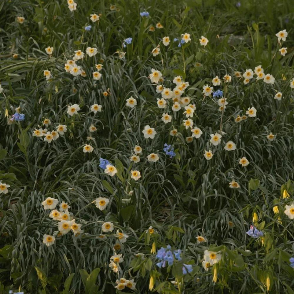 迷失方向时寻求自我的励志名言警句
