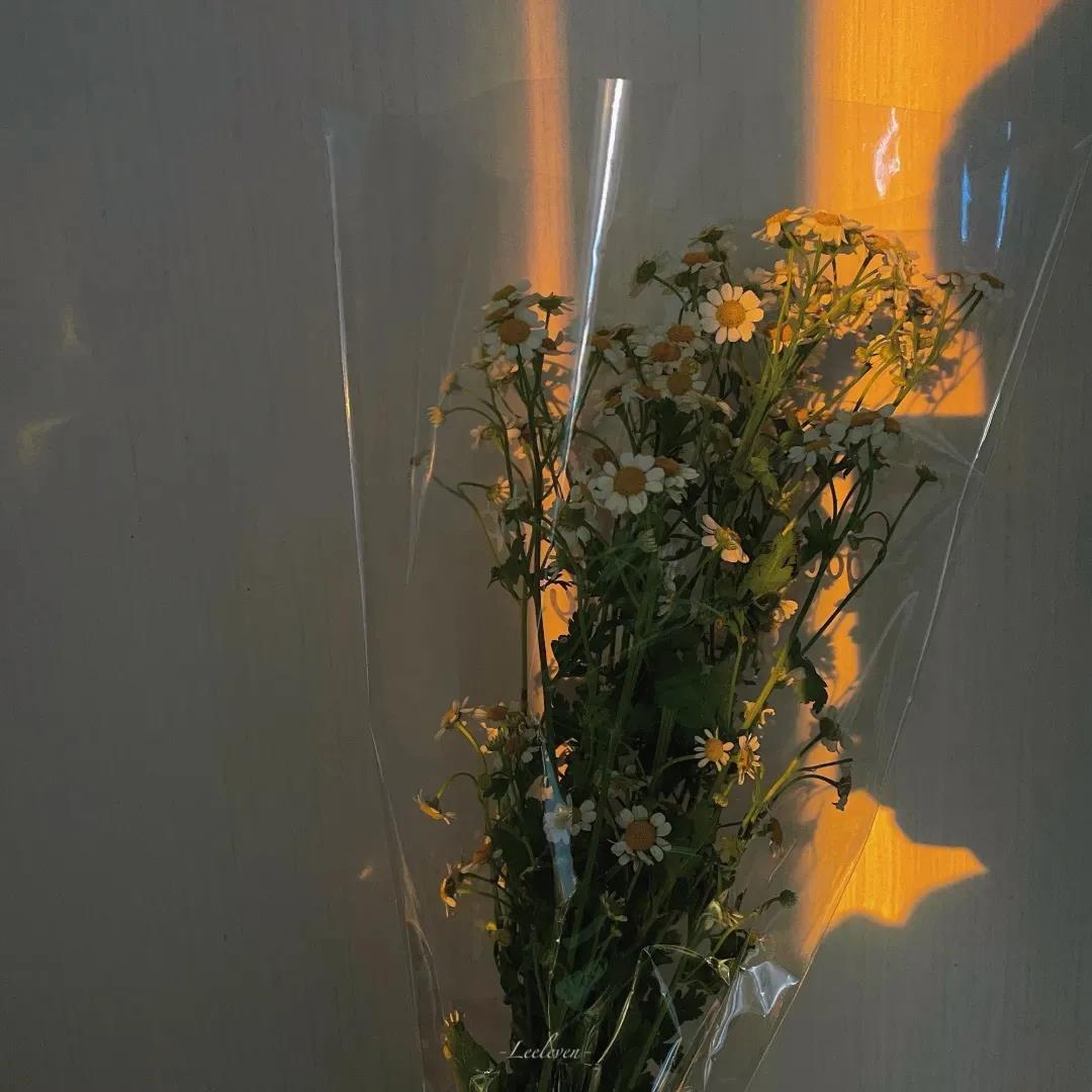 美丽有禅意的佛语大全，禅意语录