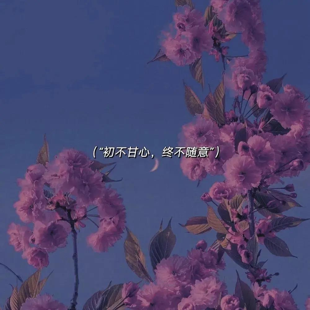 关于席慕容的经典爱情语录