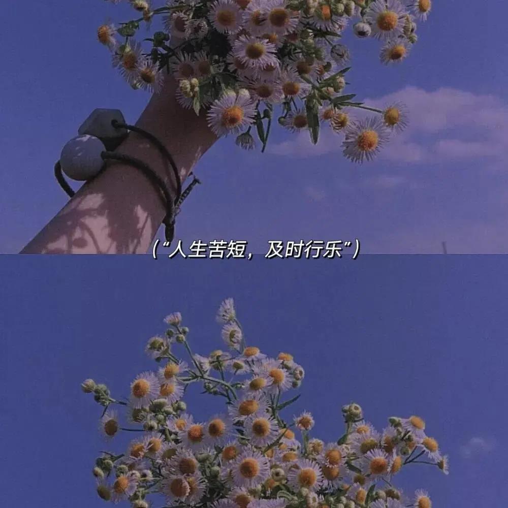 有种告白叫做留白