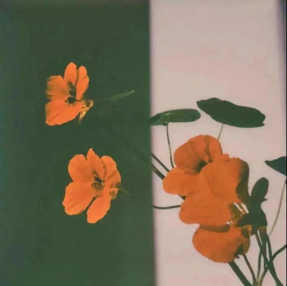 惟愿一切安然,岁月静好