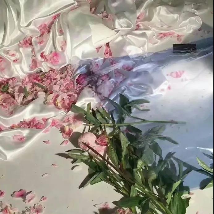 染血的手纸