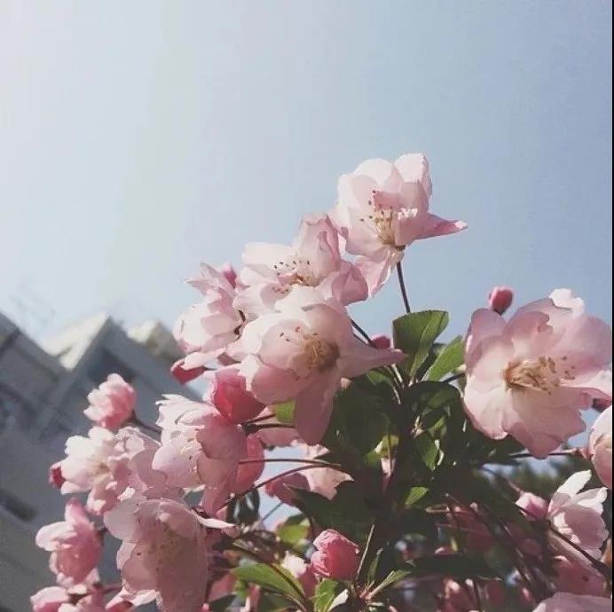 善心是一个人最大的福田