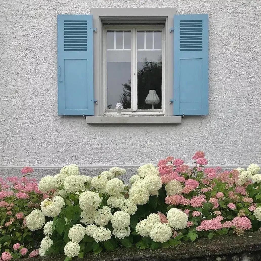 珍藏,飘零的2013