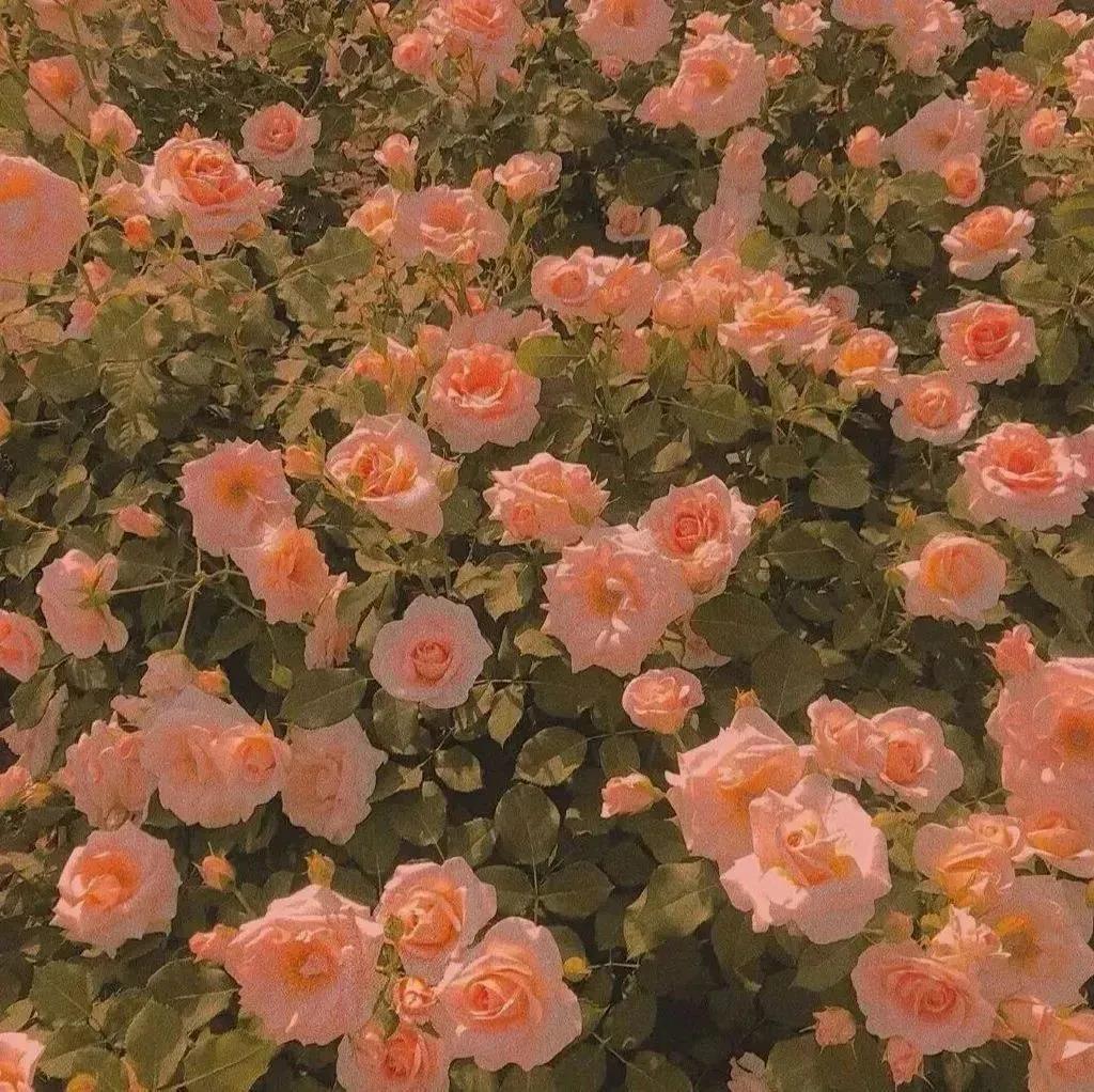 青春那么暖