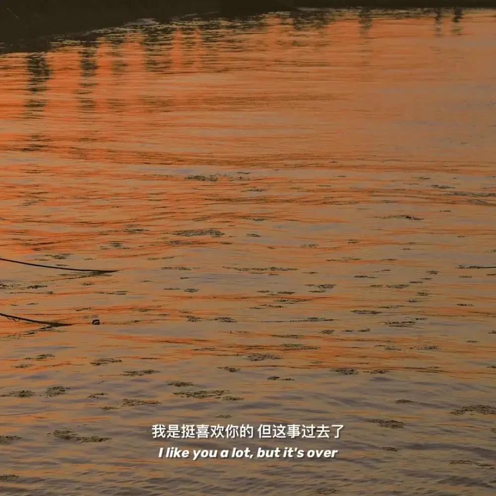 幸福就是一起数星星