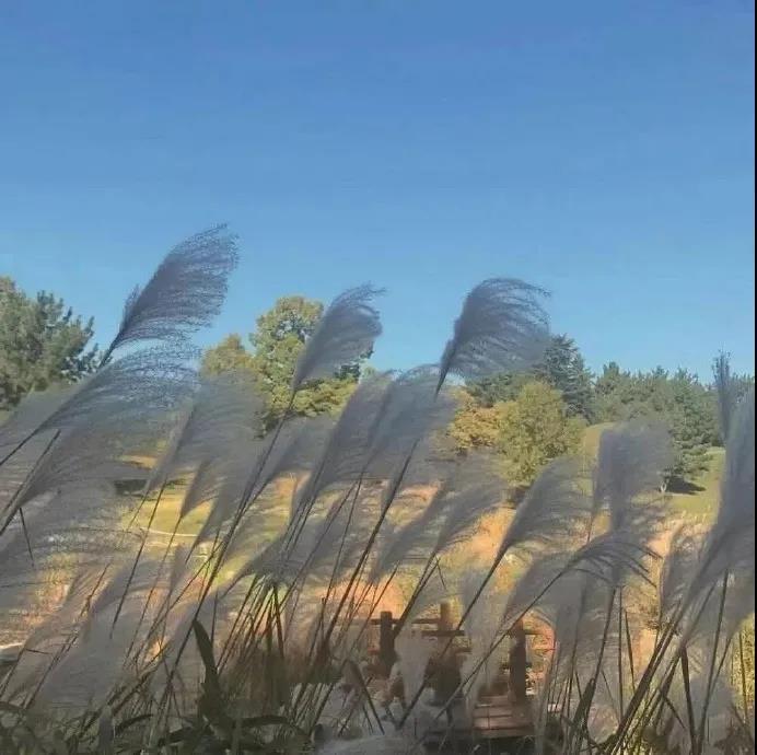 爱的独角戏