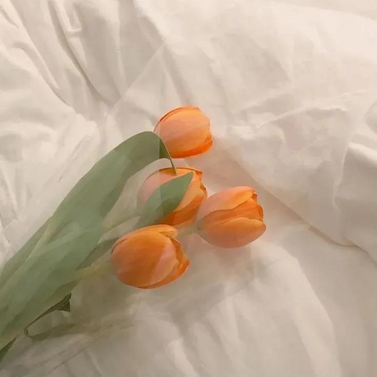 我想和你一起吃菠萝