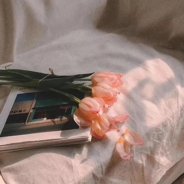 激励自己的格言座右铭|激励语录